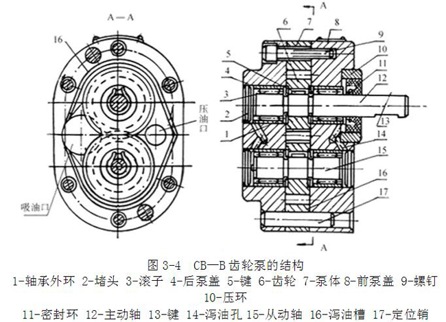 齒輪泵結構圖 齒輪泵結構圖